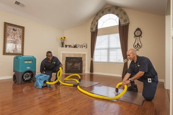 Hiring the Perfect Water Damage Restoration Company
